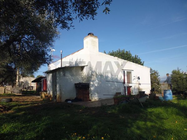 Terreno Pisticci, MT Vendita - Foto 4