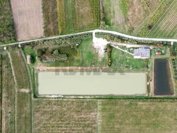 Locale Commerciale Casalbordino Stazione, Casalbordino, CH Vendita - Foto 3