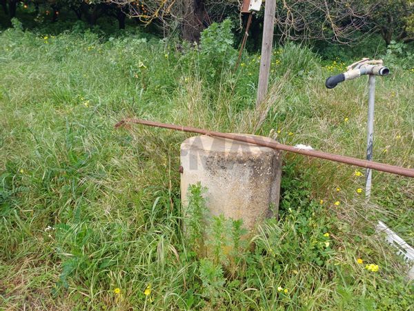 Villa singola Chiaramonte Gulfi, RG Vendita - Foto 4