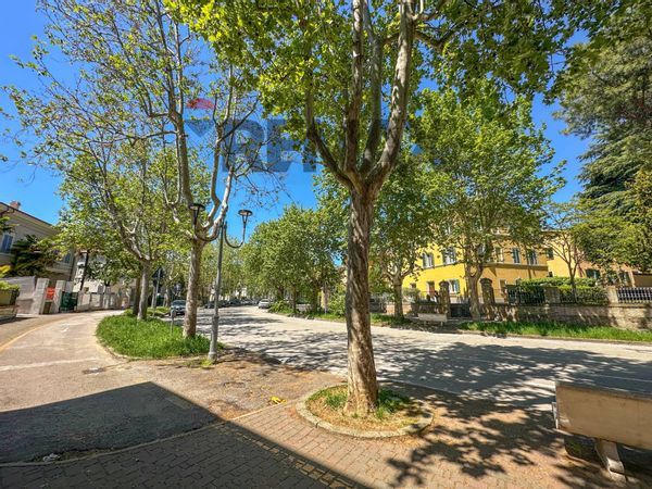 Appartamento Jesi, AN Affitto - Foto 2