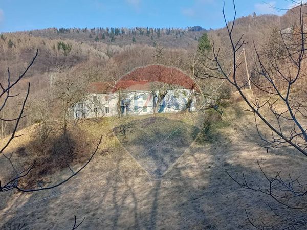 Fattoria Ronce, Belluno, BL Vendita - Foto 3