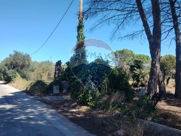 Terreno Barletta, BT Vendita - Foto 2