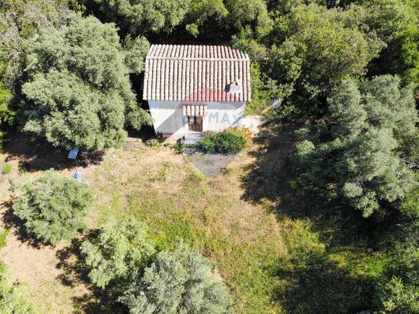 Cascina/Casale Teulada, SU Vendita - Foto 2