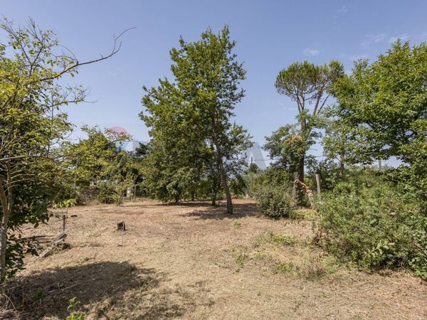 Casa Indipendente Velletri, RM Vendita - Foto 4