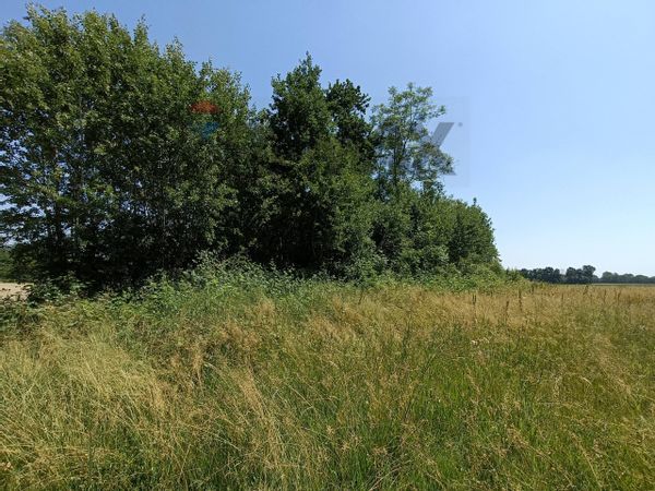 Terreno Frossasco, TO Vendita - Foto 3