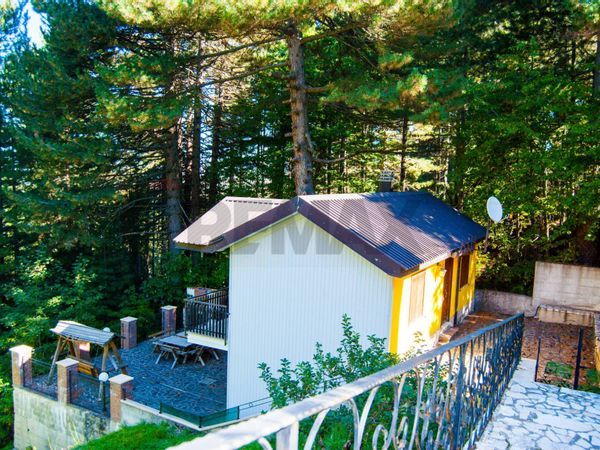 Villa o villino Spezzano della Sila, CS Vendita - Foto 2