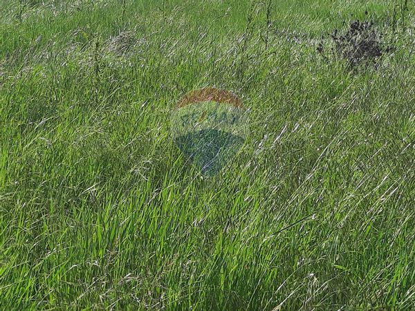 Terreno Pecetto di Valenza, AL Vendita - Foto 4