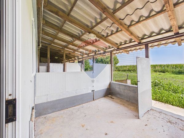 Locale Commerciale Pieve Porto Morone, PV Vendita - Foto 3