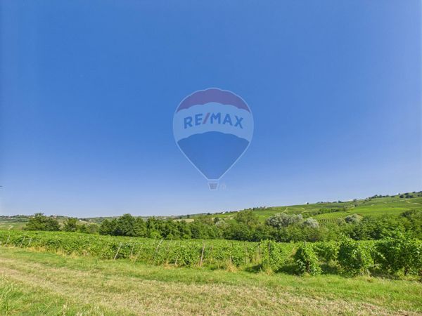 Cascina/Casale Santa Maria della Versa, PV Vendita - Foto 2