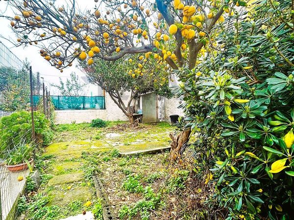 Appartamento Panza, Forio, NA Vendita - Foto 2