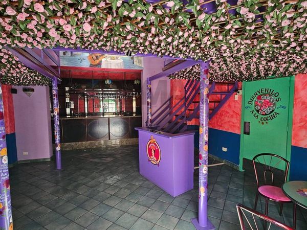 Attività  Commerciale Terrasini, PA Affitto - Foto 4