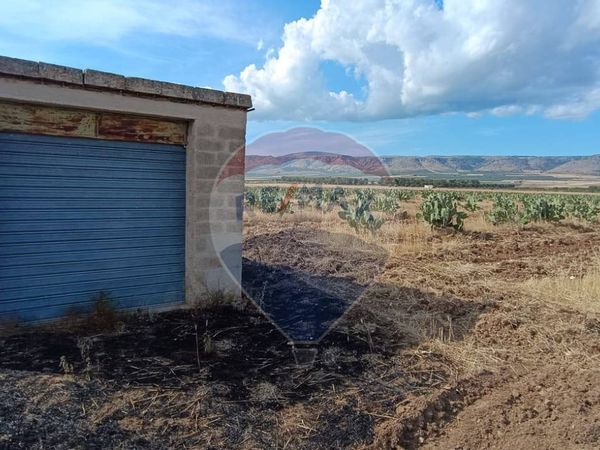 Terreno San Giovanni Rotondo, FG Vendita - Foto 2