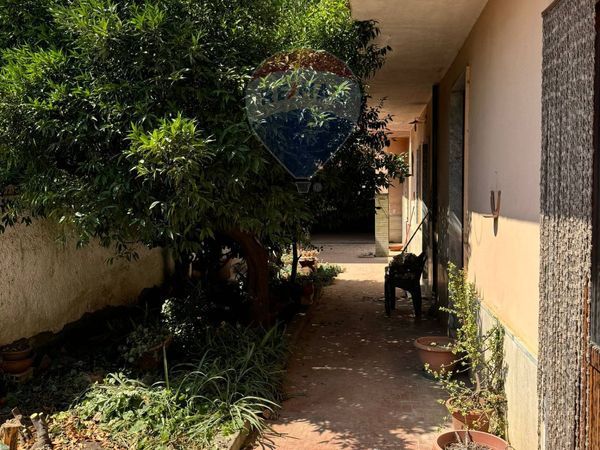 Casa Indipendente Nocelleto, Carinola, CE Vendita - Foto 3