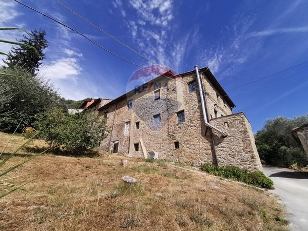 Rustico Torre, Lucca, LU Vendita - Foto 4