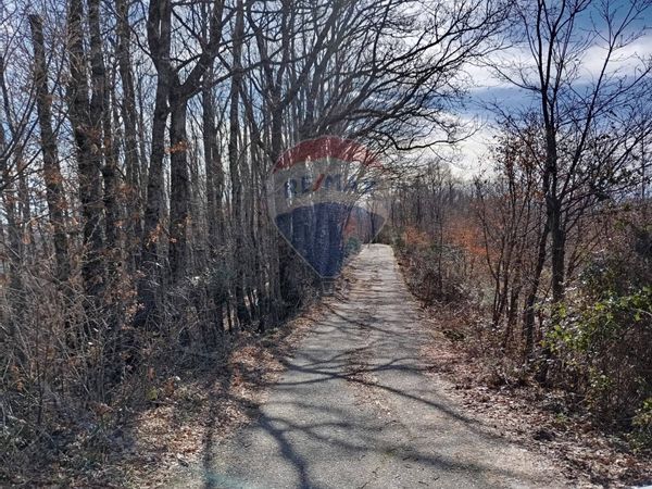 Terreno Santa Domenica Vittoria, ME Vendita - Foto 4