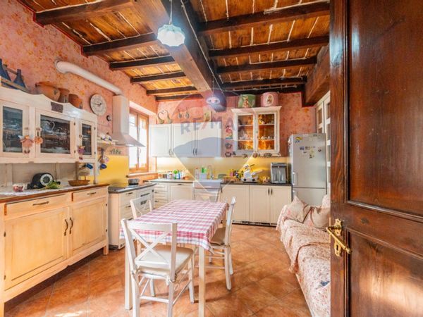 Azienda Agricola Salina, Viadana, MN Vendita - Foto 3