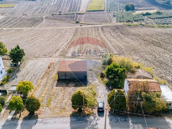 Casa Indipendente Montalfano, Cupello, CH Vendita - Foto 3