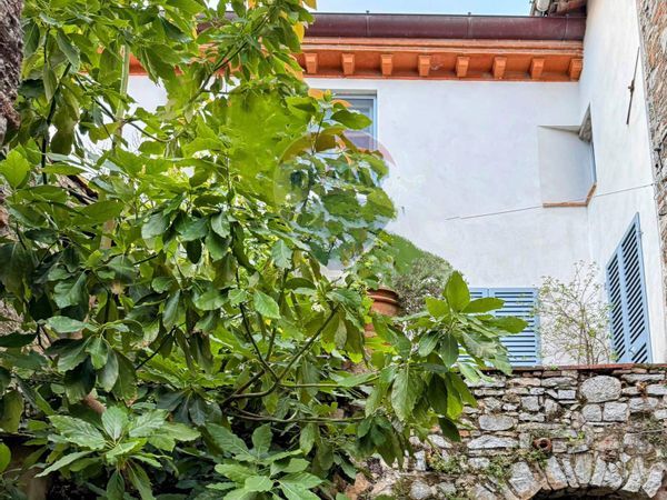 Casa Semindipendente Camaiore, LU Vendita - Foto 2