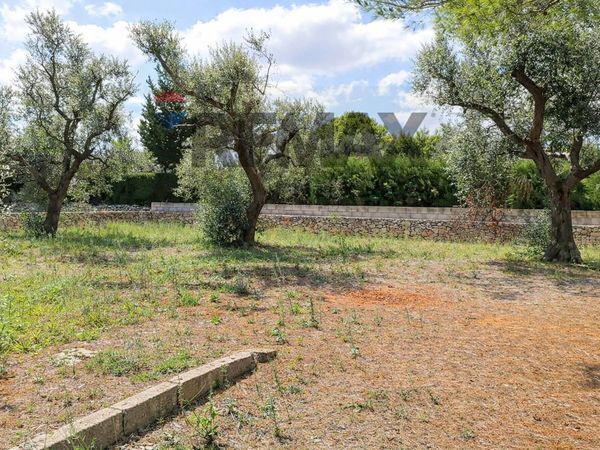 Baita/Chalet/Trullo Collepasso, LE Vendita - Foto 4