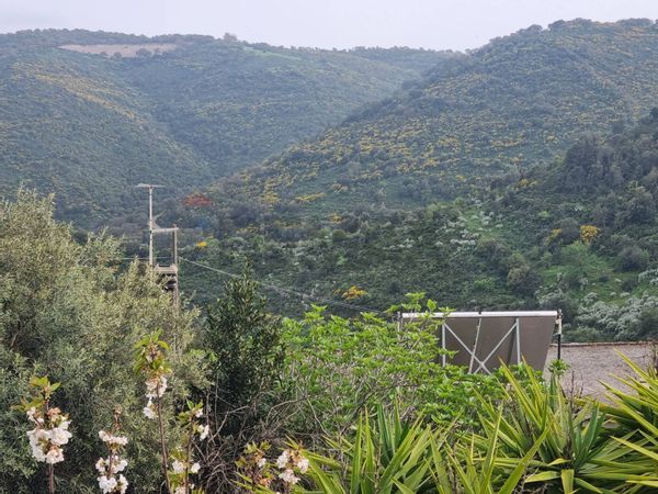 Casa Indipendente Villasalto, SU Vendita - Foto 3