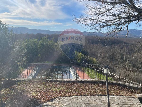 Azienda Agricola Campagna, San Giovanni Valdarno, AR Vendita - Foto 3