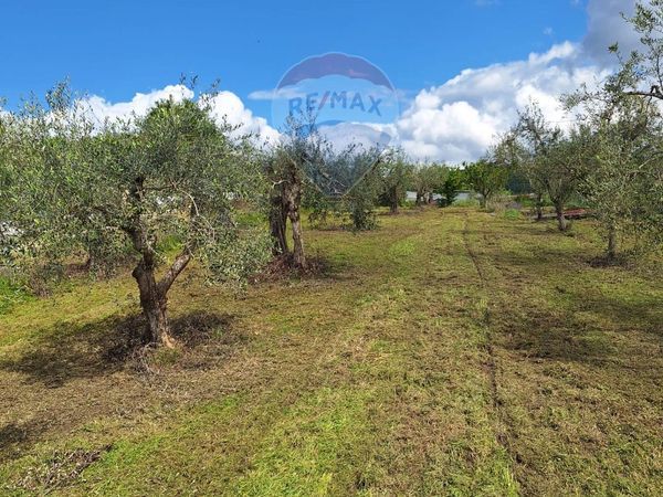 Villa o villino Castel Campagnano, CE Vendita - Foto 3