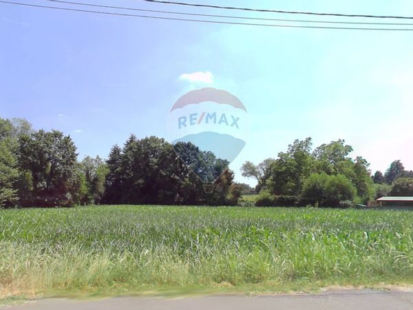 Terreno Edificabile Besnate, VA Vendita