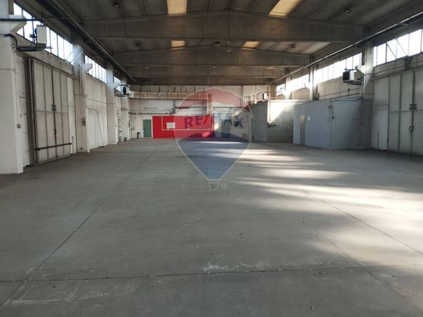 Capannone Industriale Passirana, Rho, MI Affitto - Foto 3