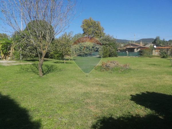 Terreno Trevignano Romano, RM Vendita - Foto 4