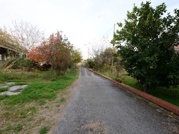 Casa Semindipendente Quiliano, SV Vendita - Foto 3