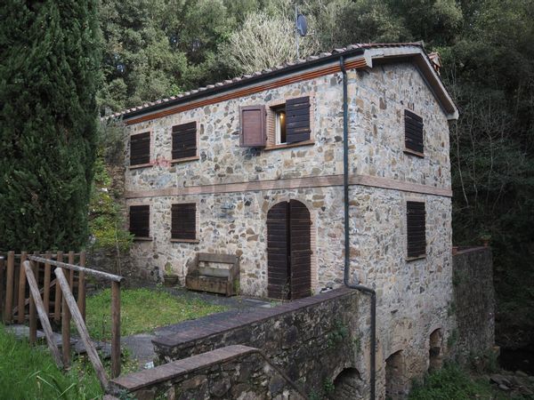 Rustico Bolgheri, Castagneto Carducci, LI Vendita