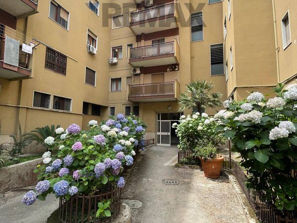 Appartamento Frattamaggiore, NA Vendita - Foto 2