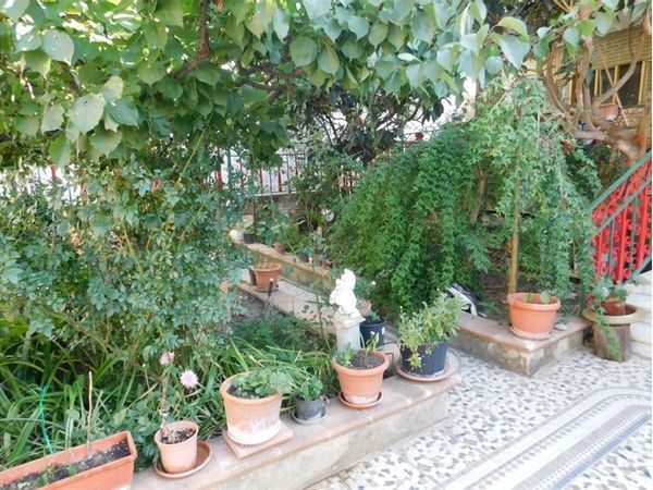 Villa a schiera Ferrandina, MT Vendita - Foto 3