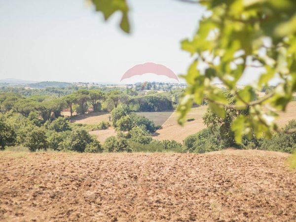 Villa singola Celleno, VT Vendita - Foto 4