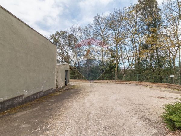 Capannone Industriale Castel Sant'Elia, VT Vendita - Foto 4