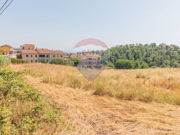 Terreno Edificabile Montefiascone, VT Vendita