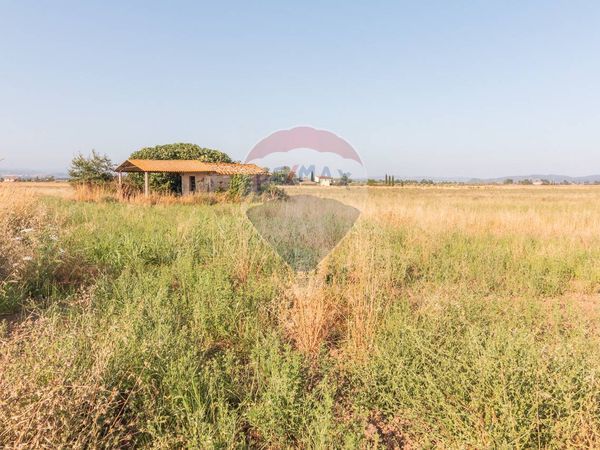 Terreno San Donato, Orbetello, GR Vendita - Foto 4