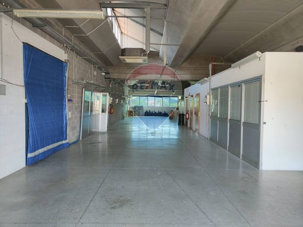 Laboratorio Industriale, Figline e Incisa Valdarno, FI Vendita - Foto 3