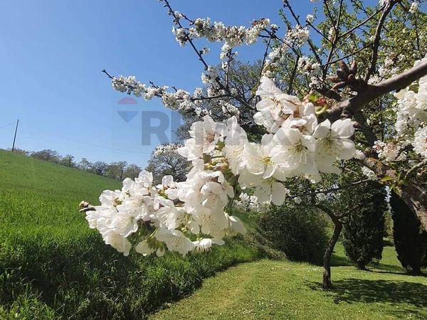 Villa singola Gubbio, PG Vendita - Foto 2