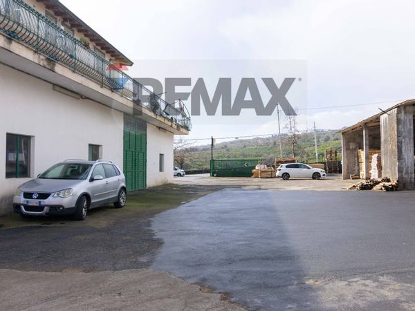 Altro Nunziata, Mascali, CT Affitto - Foto 2