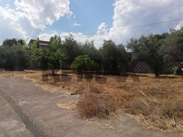 Villa singola Misterbianco, CT Vendita - Foto 2