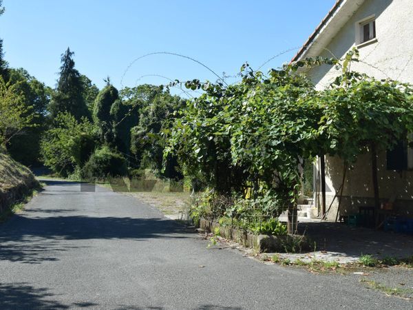 Cascina/Casale Carro, SP Vendita - Foto 4