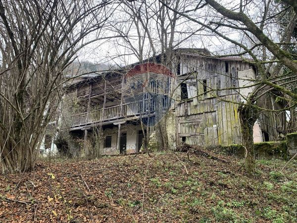 Rustico Chioè, Lamon, BL Vendita - Foto 3