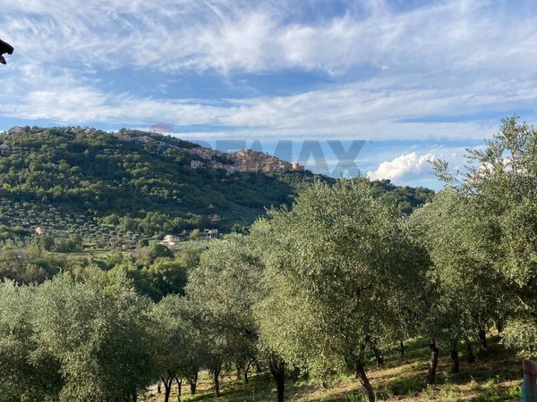 Cascina/Casale Felitto, SA Vendita