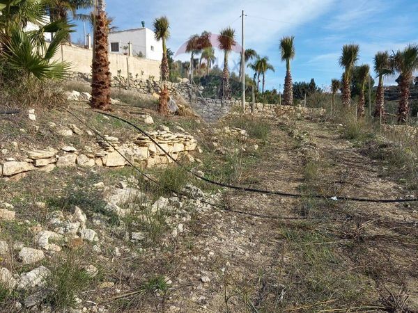 Villa singola Chiaramonte Gulfi, RG Vendita - Foto 4