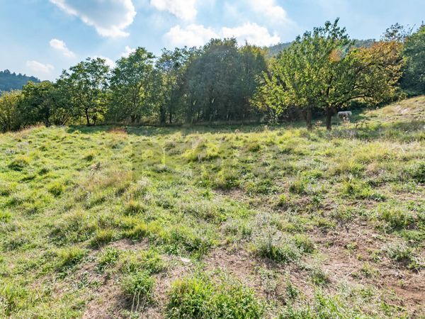 Appartamento Concesio, BS Vendita - Foto 4