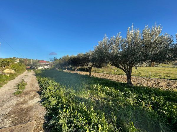 Villa singola Periferia, Agrigento, AG Vendita - Foto 2