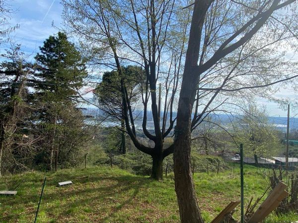 Terreno Proserpio, CO Vendita - Foto 3