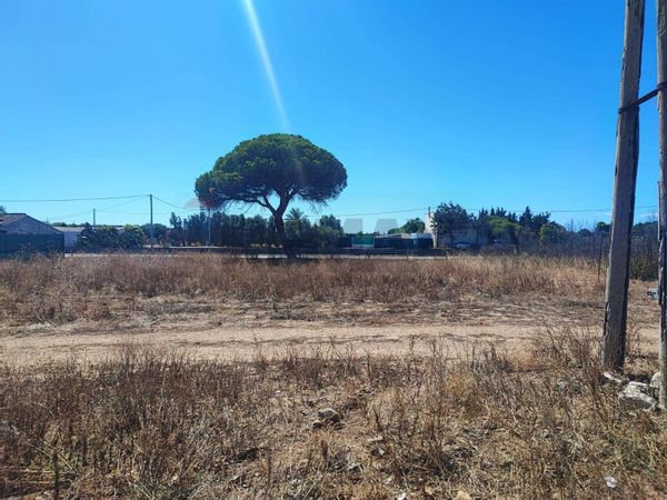 Terreno Zona Flumini, Quartu Sant'Elena, CA Vendita
