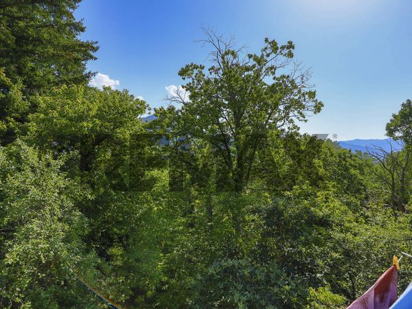 Casa Semindipendente Belpiano, Borzonasca, GE Vendita - Foto 4